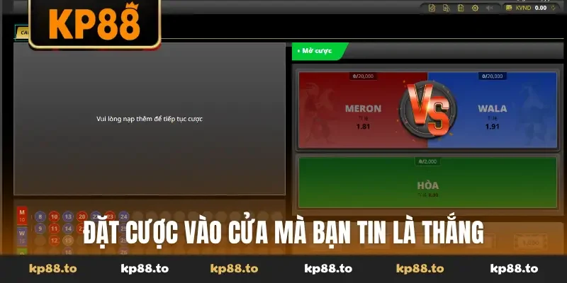 Đặt cược vào cửa mà bạn tin là thắng