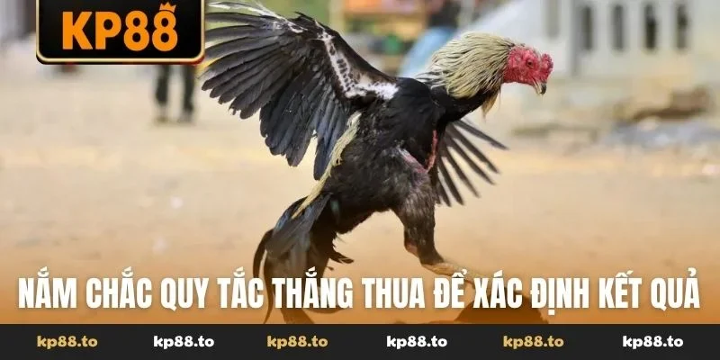 Nắm chắc quy tắc thắng thua để xác định kết quả