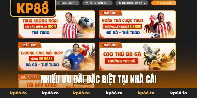 Nhiều ưu đãi đặc biệt tại nhà cái