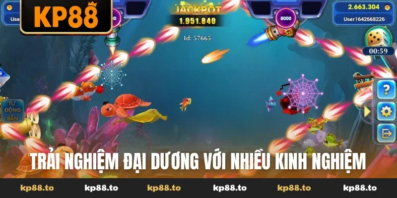 Trải nghiệm đại dương với nhiều kinh nghiệm từ cao thủ